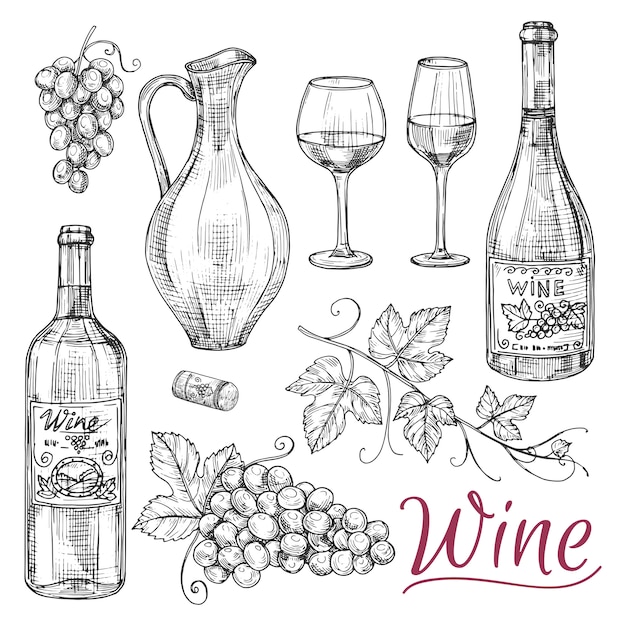 Vecteur croquis d'éléments vectoriels de vin - bouteilles, verres, raisins et cruche
