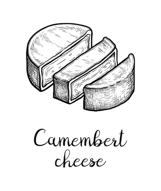 Croquis à L'encre De Fromage Camembert