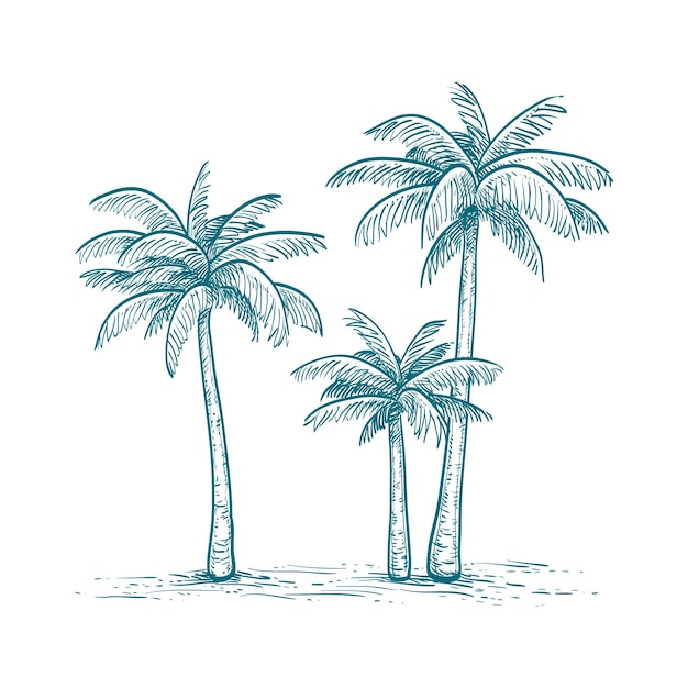 Vecteur croquis à l'encre de palmiers