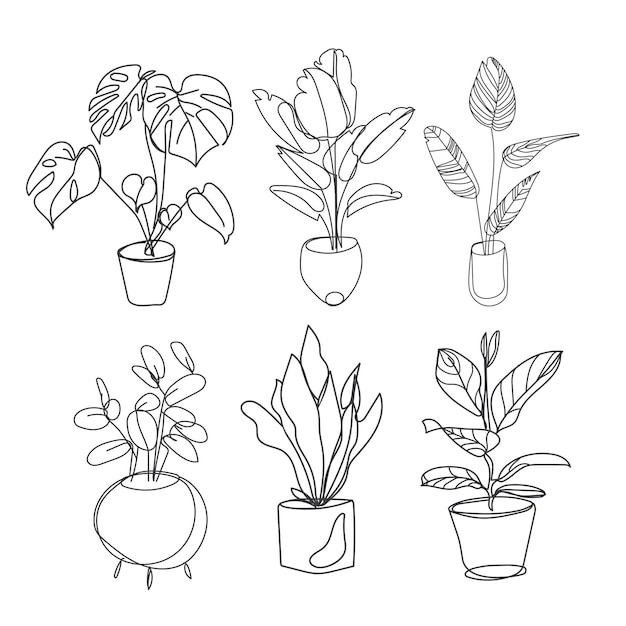 Croquis de fleurs de style en potsPlantes d'intérieurEnsemble vectoriel de plantes de contour en potsFleurs exotiques d'intérieur