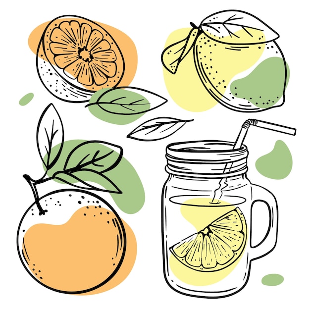 Croquis De Fruits Avec Des éclaboussures De Couleur Orange, Jaune Et Verte Sur Fond Blanc Illustration