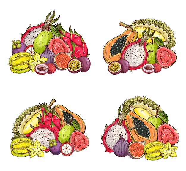 Croquis de fruits tropicaux, récolte du verger litchi exotique, mangoustan, figue et dragon, fruit de la passion ou pitahaya, carambole ou durian, papaye et goyave. Ensemble de cultures de fruits tropiques gravés