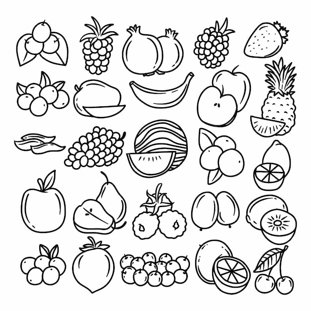 Vecteur des croquis de fruits