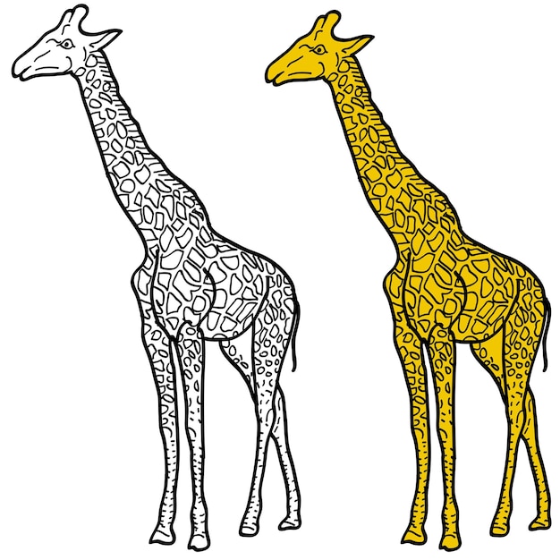 Croquis d'une haute girafe africaine sur fond blanc Illustration vectorielle