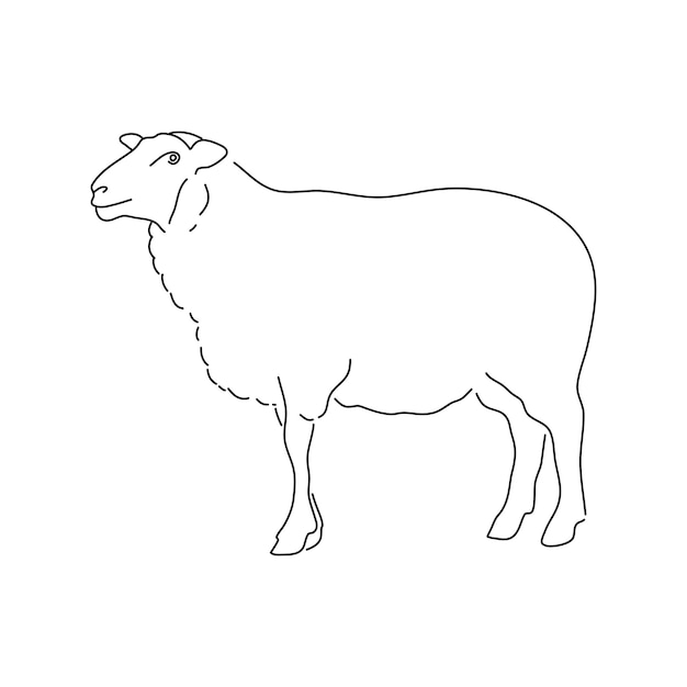 Vecteur croquis à la main mouton illustration vectorielle