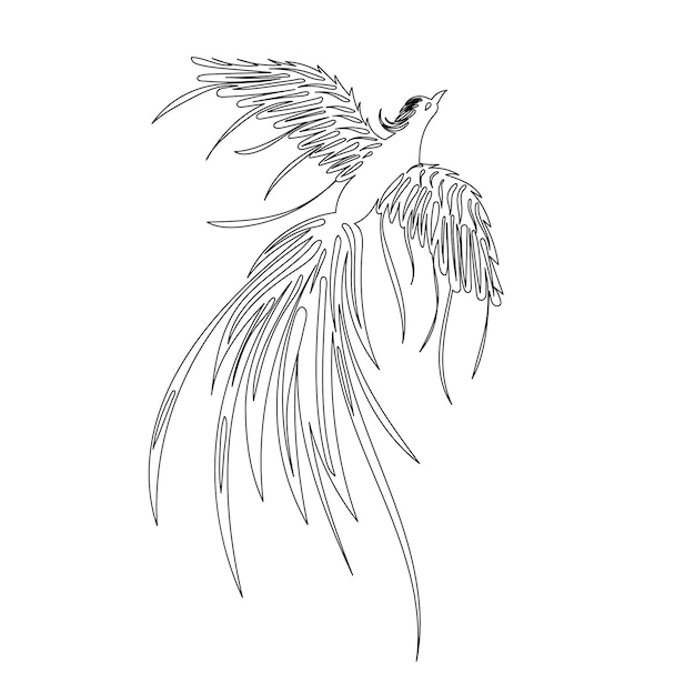 Croquis D'oiseau Phoenix Sur Fond Blanc