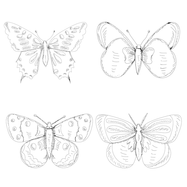 Croquis de papillon isolé avec des lignes