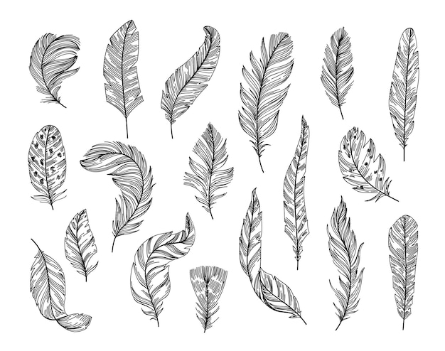 Croquis de plumes ethniques Plume d'oiseau dessinée à la main légère et plume douce Jeu d'illustrations vectorielles d'art de la ligne tribale