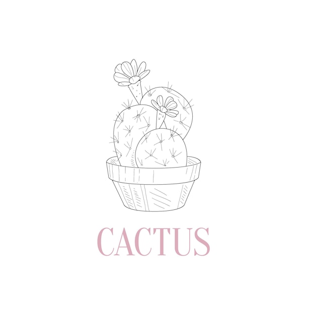 Croquis Réaliste Dessiné à La Main De Plante D'intérieur De Cactus