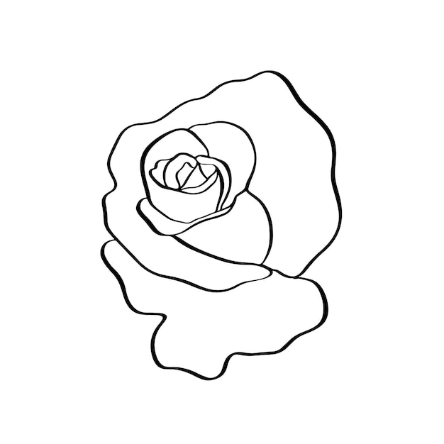 Croquis de rose Contour noir sur fond blanc Illustration vectorielle