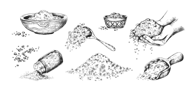 Croquis De Sel De Mer Assaisonnement Dessiné à La Main Dans Des Bols En Bois Ou Une Salière En Verre Scoop Et Cuillère Pleine De Cristaux épices Salées Noires Et Blanches Ingrédient De Cuisine Vectoriel Pour La Conservation Des Aliments