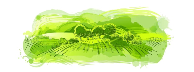 Croquis De Vecteur Champ D'herbe Verte Sur De Petites Collines Prairie Lessive Alcaline Prairie Pommel Lea Pâturage Ferme Paysage Rural Paysage Panorama De Campagne Pâturages Illustration