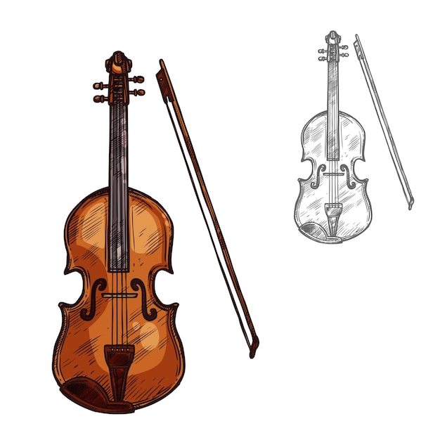 Vecteur croquis de vecteur instrument de musique violon contrebasse