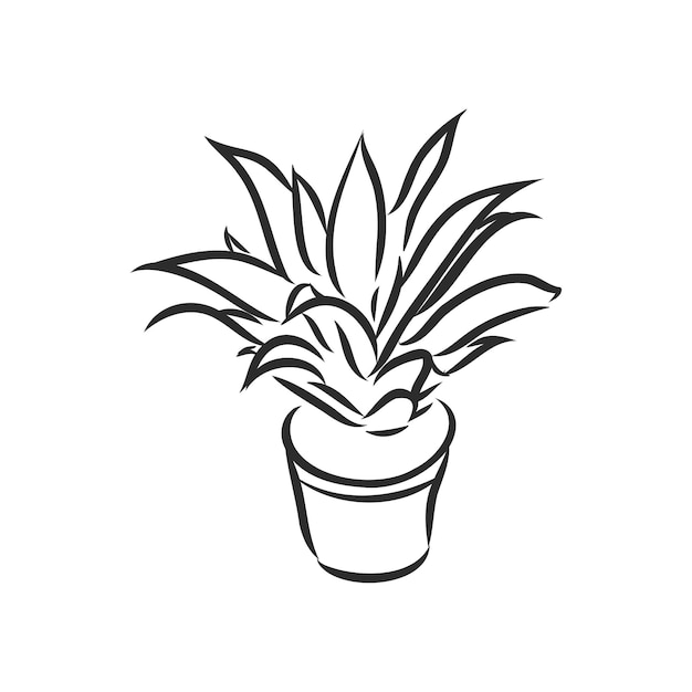 Croquis De Vecteur De Plante D'intérieur De Plantes En Pot Sur Un Fond Blanc