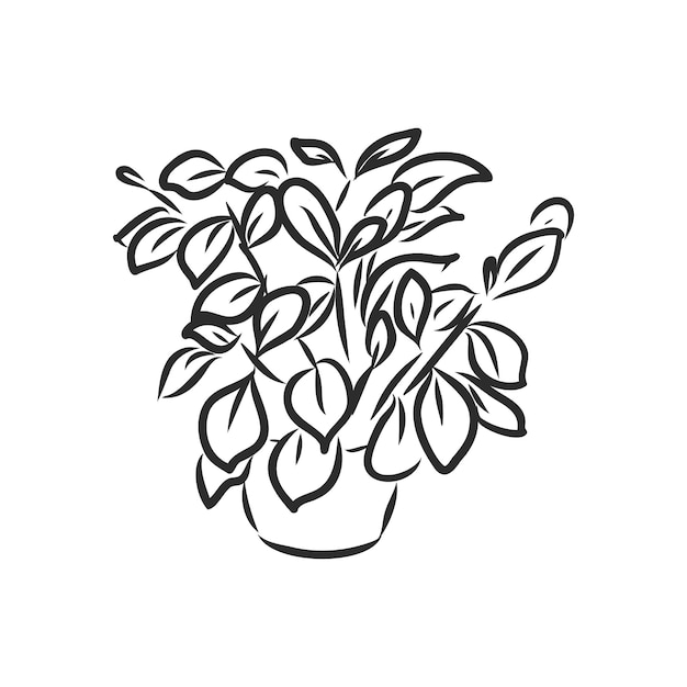 Croquis De Vecteur De Plante D'intérieur De Plantes En Pot Sur Un Fond Blanc