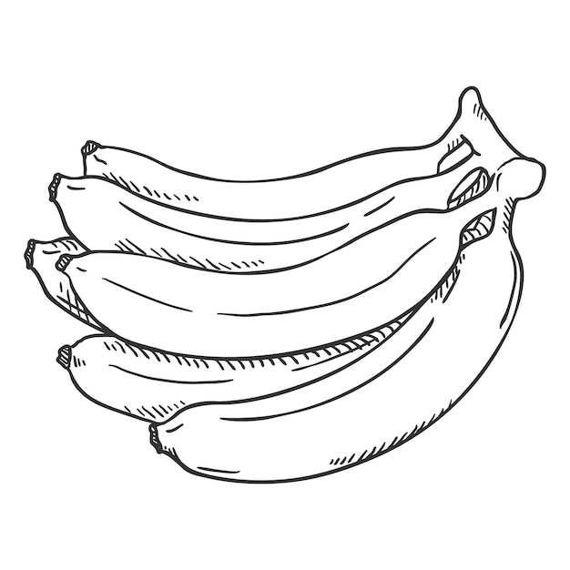 Croquis Vectoriel Tas De Bananes