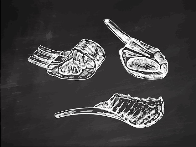 Vecteur des croquis vectoriels dessinés à la main de viande de porc, de bœuf, d'agneau, de côtes, d'un morceau de viande.