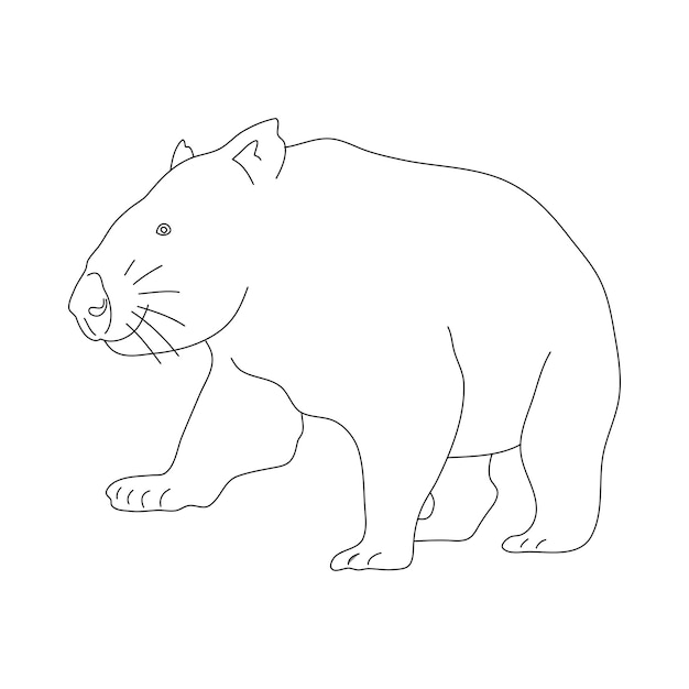 Vecteur croquis de wombat illustration vectorielle dessinés à la main