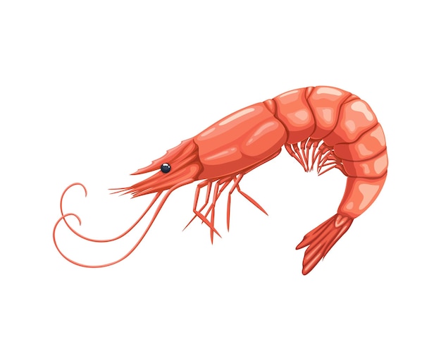 Cuisine de fruits de mer de dessins animés, crevettes ou crevettes