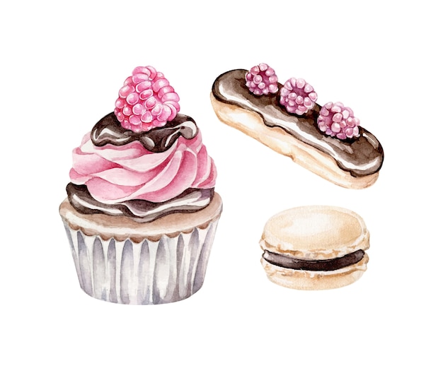 Cupcake Aquarelle, éclair, Macaron Isolé. Bonbons Au Chocolat