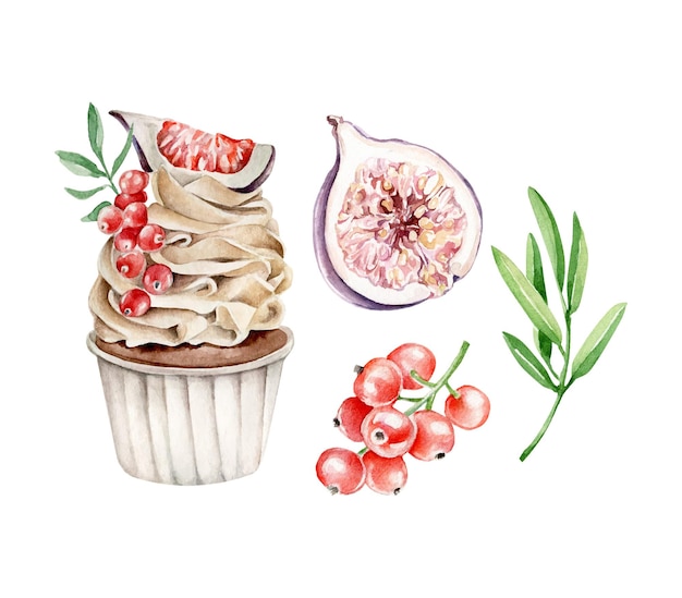 Cupcake Aquarelle Avec Groseille Rouge Et Figue