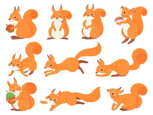 Écureuil de dessin animé