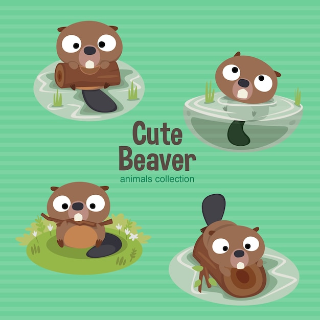 Cute Animals Castor Collection