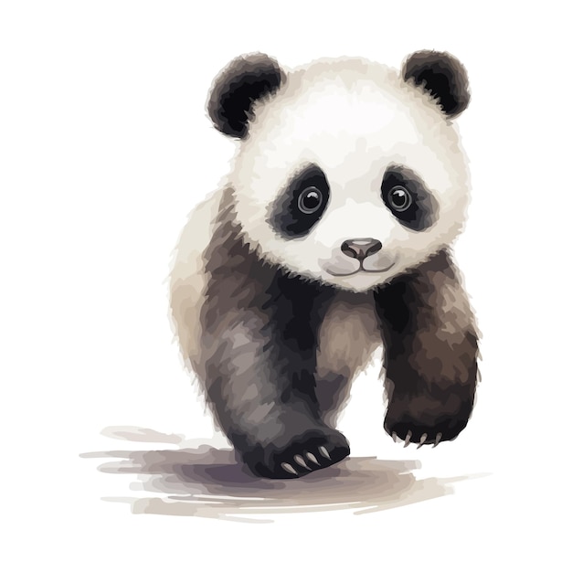 Vecteur cute bande dessinée de panda qui marche dans le style de la peinture à l'aquarelle