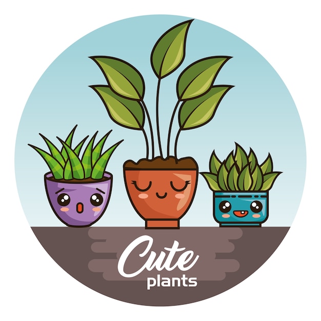 Cute Cute Kawaii Plantes D'intérieur Dessins Animés