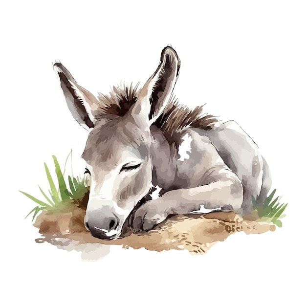 Vecteur cute dessin animé d'âne qui dort dans le style de la peinture à l'aquarelle