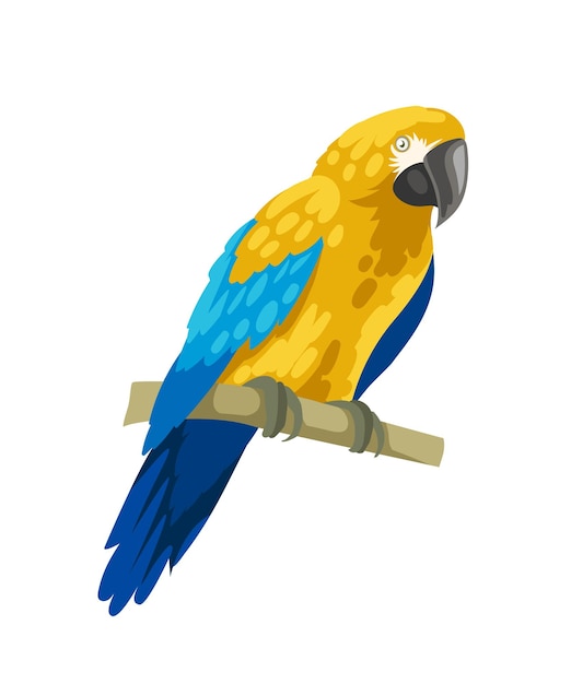 Vecteur cute perroquet coloré oiseau bleu et jaune animal mignon avec des plumes mammifère tropical et exotique