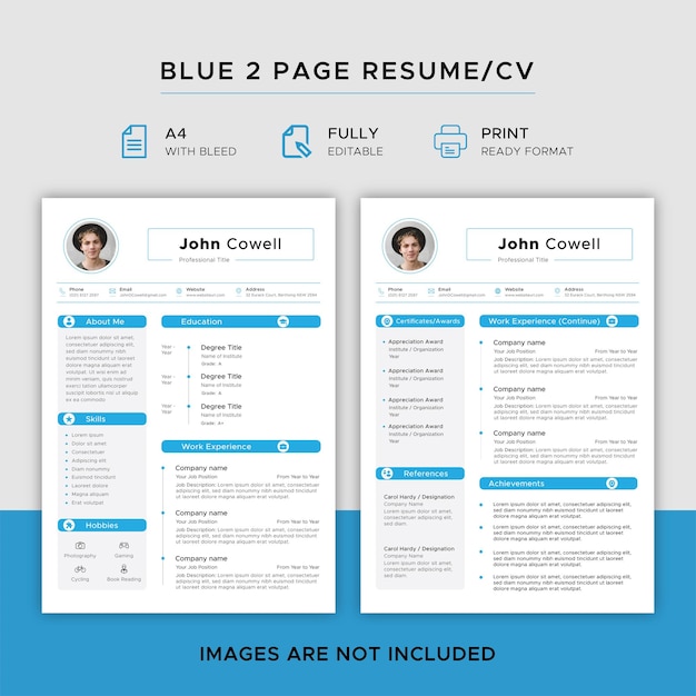 Cv Bleu 2 Pages