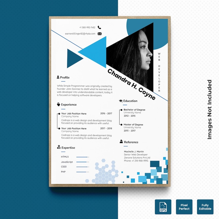 Vecteur cv de développeur web