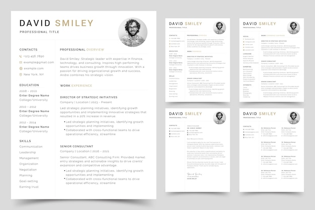 Vecteur cv et lettre de motivation modèle de cv minimaliste