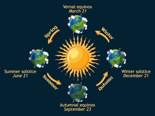 Vecteur cycle des saisons de la terre de l'année
