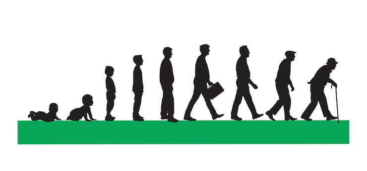 Vecteur cycles de vie de l'homme d'un petit bébé à l'illustration vectorielle de silhouette d'homme âgé