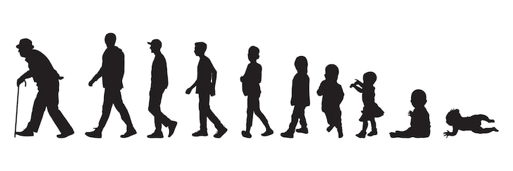 Vecteur cycles de vie de l'homme d'un petit bébé à un vieil homme illustration vectorielle de silhouette noire