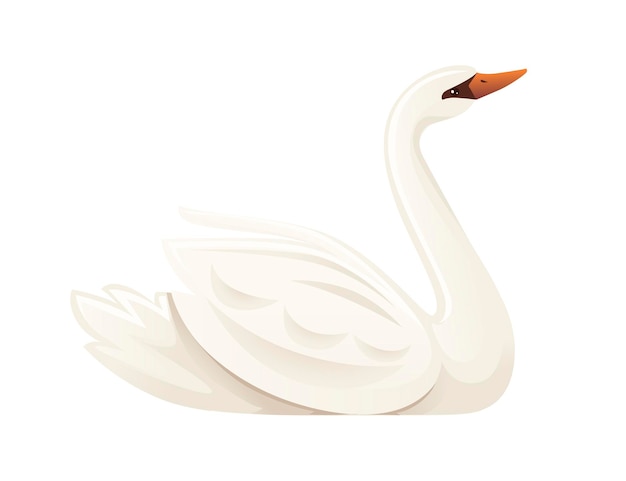 Cygne blanc plus grand oiseau volant nager sur l'eau cartoon animal design plat vector illustration isolé sur fond blanc.