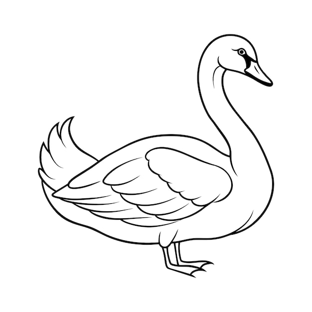 Vecteur un cygne gracieux à colorer pour les enfants