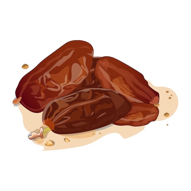 Des dates pour le vecteur ifter du ramadan sur une illustration de fond blanc