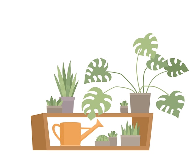 Vecteur décor à la maison à la mode avec des plantes en illustration de pots
