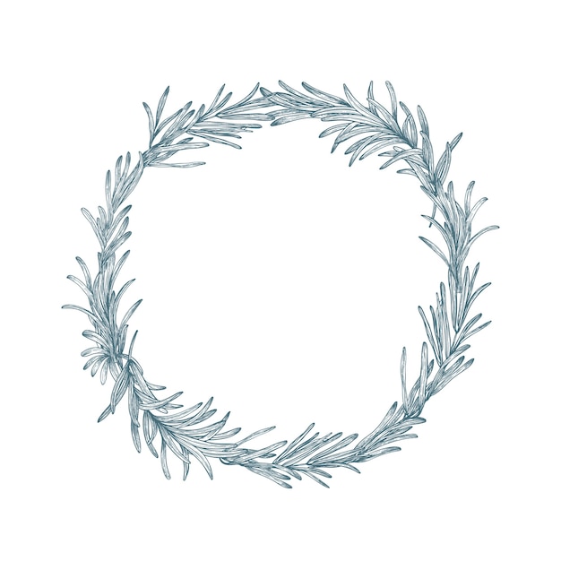Décoration circulaire ou couronne de romarin dessinés à la main avec des lignes de contour sur blanc