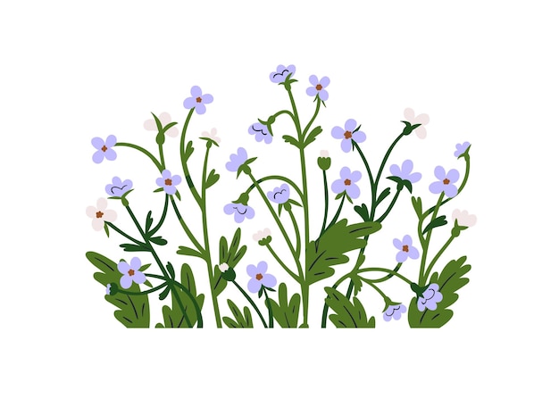Décoration de groupes de fleurs de printemps décoratives de fleurs sauvages en fleurs et de feuilles décor botanique floral illustration vectorielle graphique plate isolée sur fond blanc