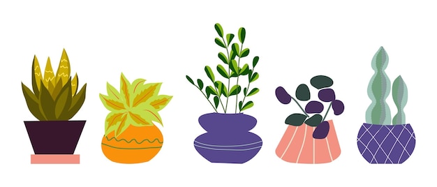 Vecteur décoration de maison tendance jungle urbaine avec plantes feuilles tropicales dans des pots élégants style dessin animé