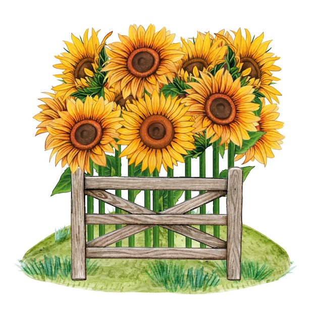 Décoration Rustique De Campagne De Tournesol D'aquarelle