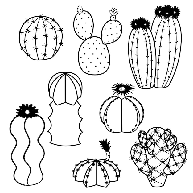 Vecteur décrire le cactus de doodle. ensemble d'art en ligne noir et blanc de cactus dessinés à la main.