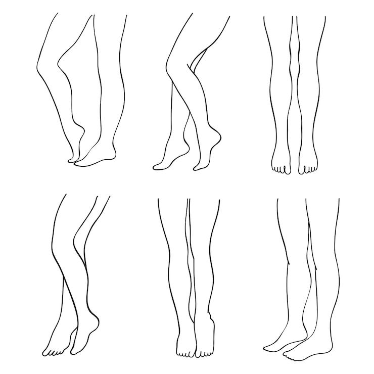 Vecteur décrivez les belles jambes féminines