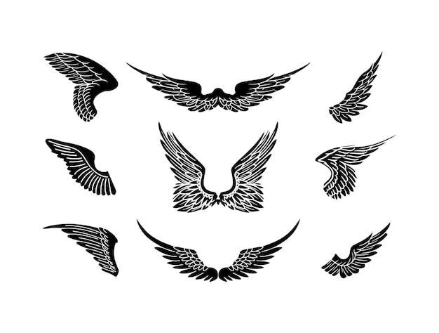 Vecteur définir des ailes d'illustration vectorielle