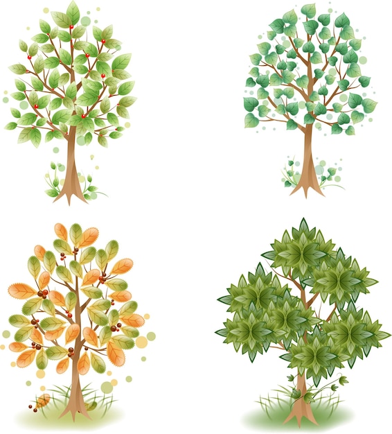 Définir Des Arbres De Différents Types Dans Un Design Plat