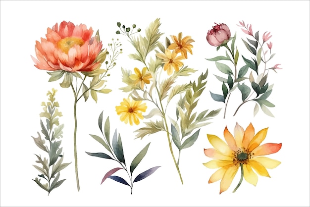 Définir des arrangements aquarelles avec des fleurs de jardin Modèle d'éléments de fleurs décoratives Illustration de dessin animé plat isolé sur fond blanc